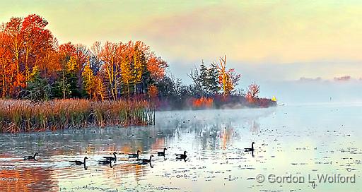 Misty Rideau Canal At Sunrise_P1210156.jpg - Canada Geese (Branta canadensis) photographed along the Rideau Canal Waterway at Kilmarnock, Ontario, Canada.